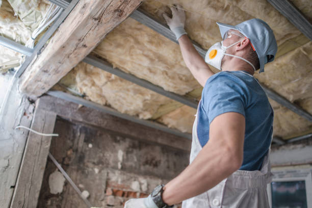 Best Insulation Maintenance and Repair in Beulaville, NC