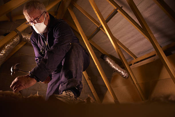 Best Insulation for Specific Applications in Beulaville, NC